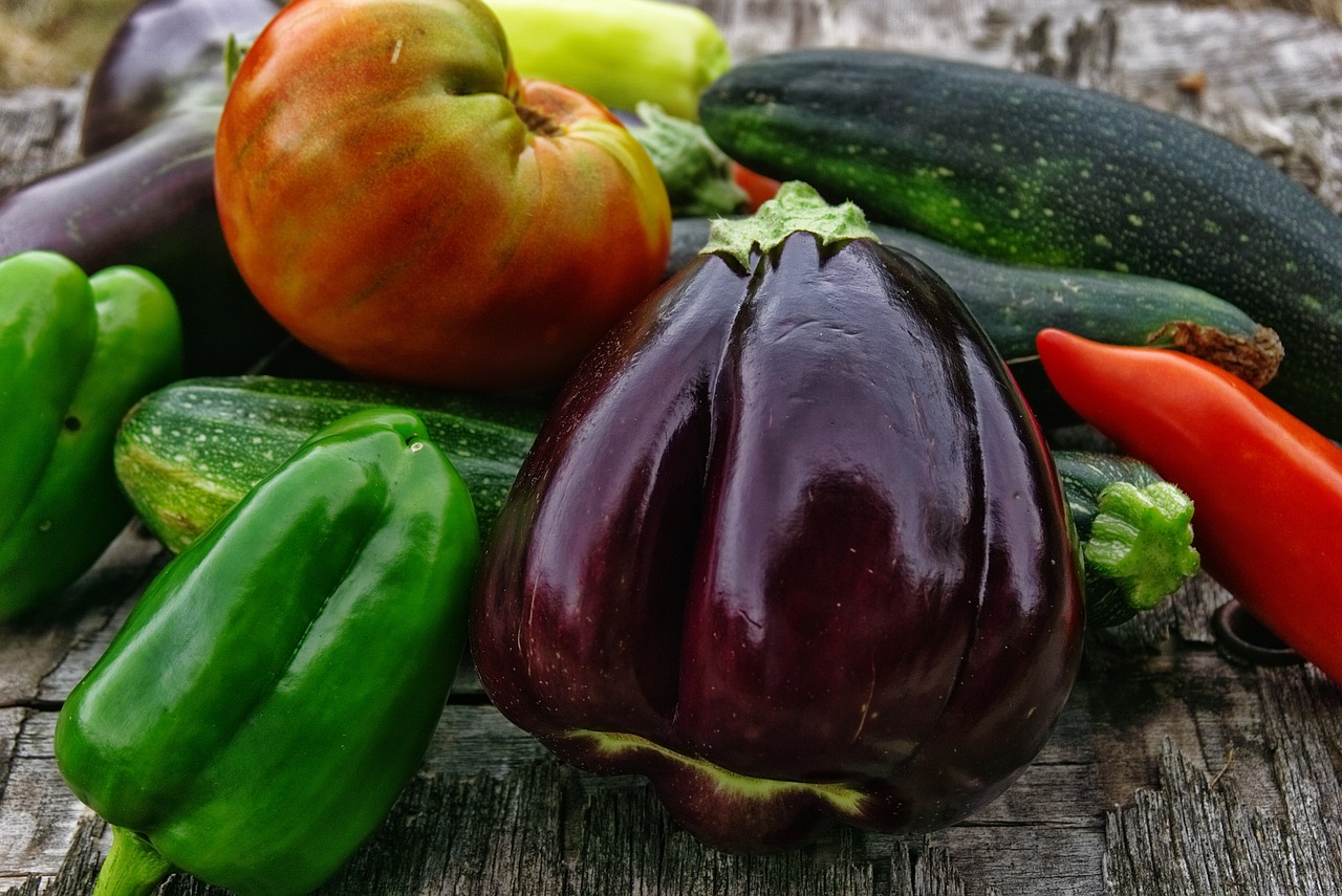 Organic Gardening Tips for Beginners